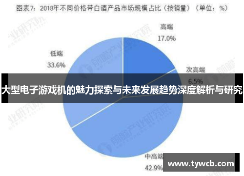 大型电子游戏机的魅力探索与未来发展趋势深度解析与研究